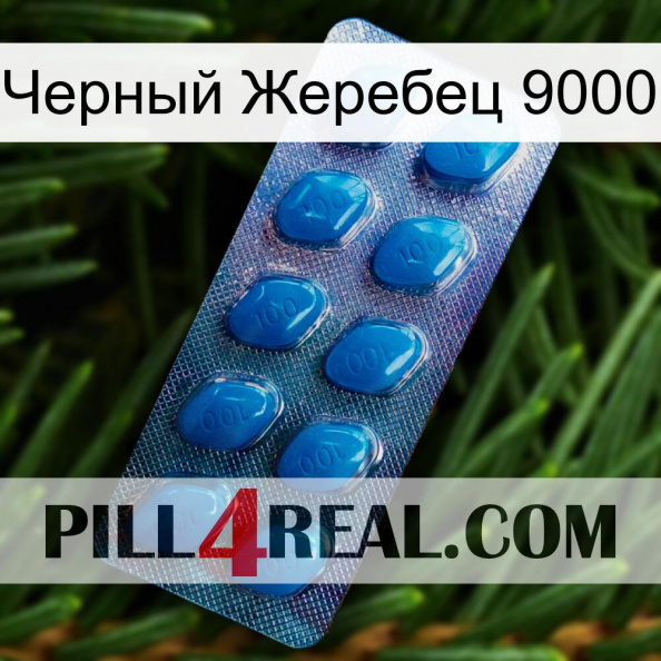 Черный Жеребец 9000 viagra1.jpg